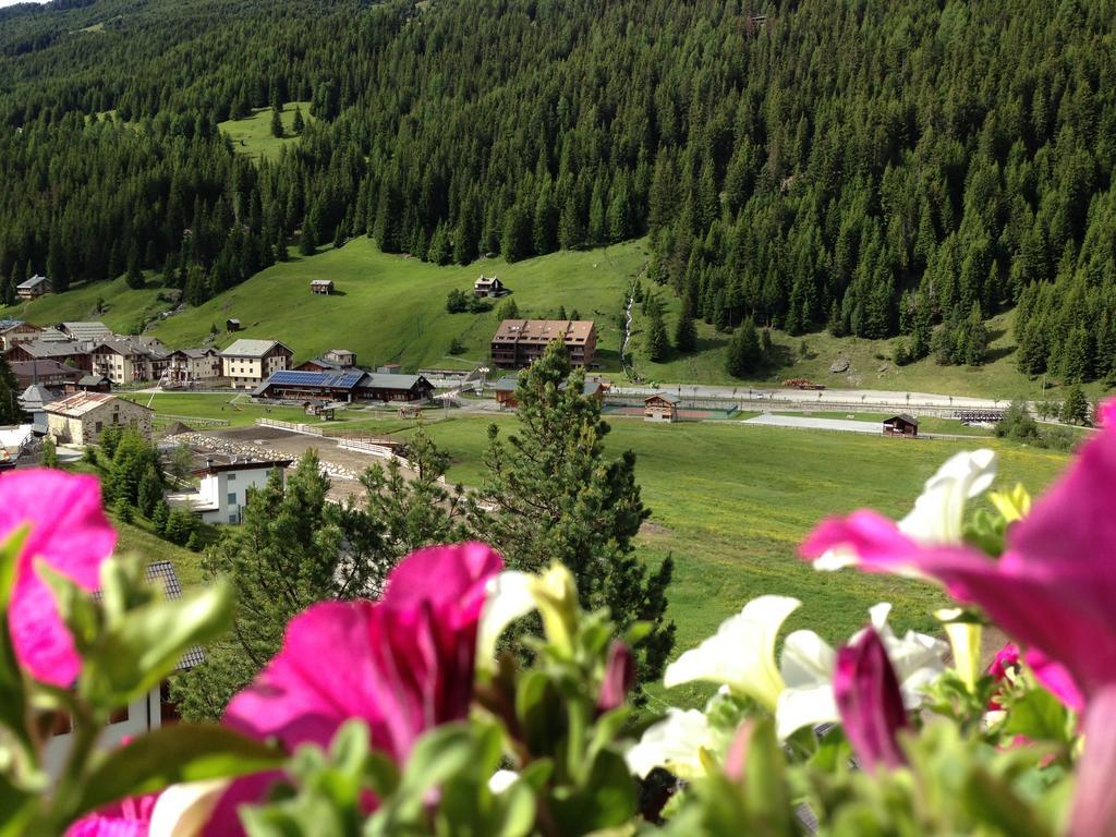 Bucaneve Santa Caterina di Valfurva