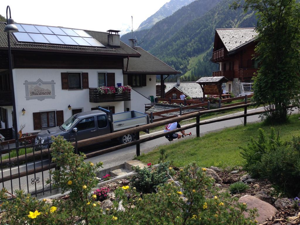 Apart-hotel Bucaneve *